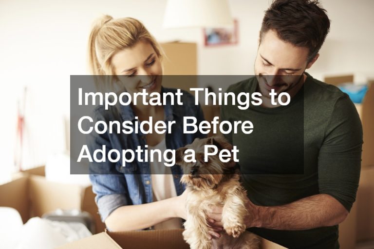 Important Things to Consider Before Adopting a Pet - The Pet Health Journal